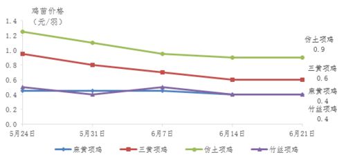 广东今日鸡价行情，市场走势及影响因素深度解析
