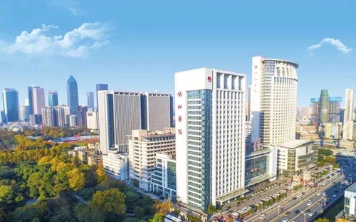东莞医院排名前十，优质医疗资源一览无余