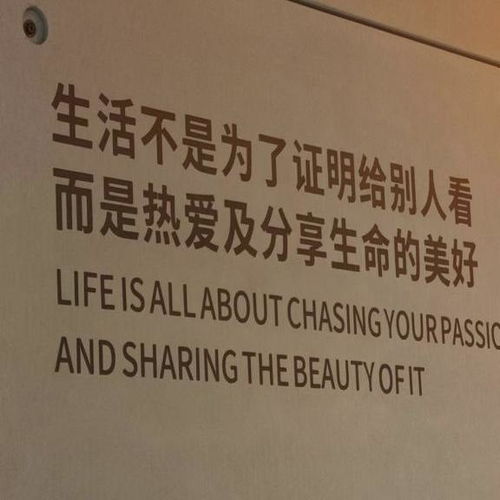 叫妈流潜能新探，深度挖掘与启示