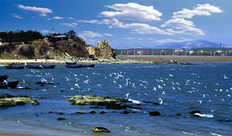 北戴河旅游攻略，海滨魅力深度探索