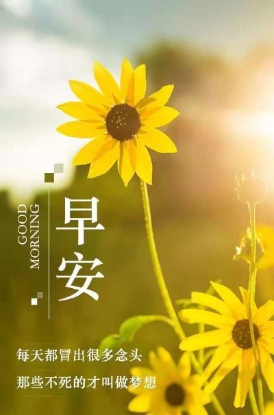励志早安语录，微笑开启美好一天