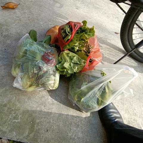 全球生活成本排名下的上海，繁华都市生活成本深度解析