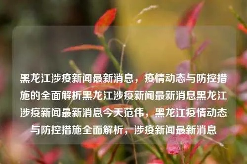 黑龙江新闻今日综述，最新消息一览