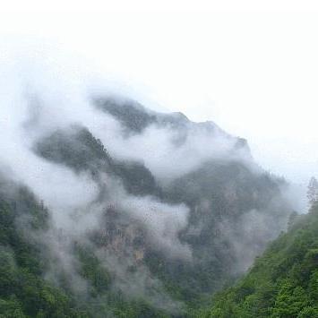 印度最热彩票排名Top10，幸运之门背后的秘密大揭秘