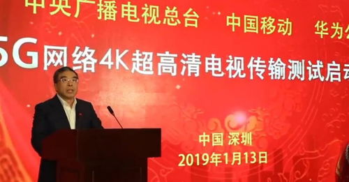 电器投标公司排名揭晓，行业领军者的成功秘诀大揭秘！