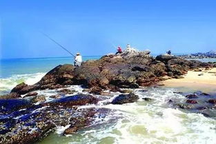 小南湾岛赶海攻略，最新指南带你玩转海岛捕捞！