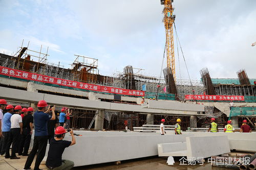河北混凝土板最新价格查询，洞悉市场动态，助力工程预算决策