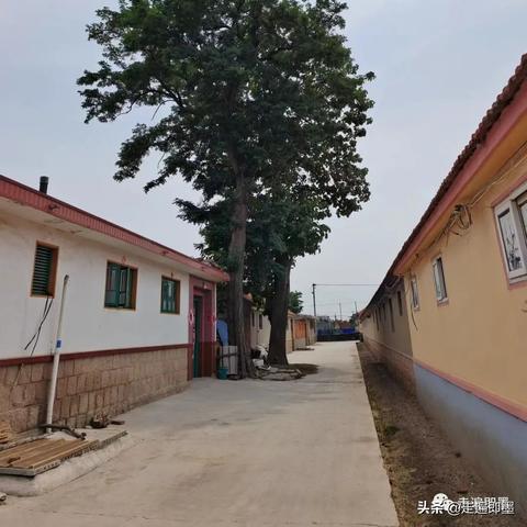 石矿检测公司排名揭秘，行业影响力深度探讨