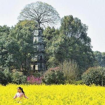 湖南人文之旅攻略，探秘绝美景点，体验绝佳旅游体验