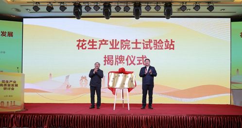 东营装潢公司排名揭秘，探寻行业领军者