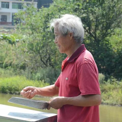 生态养鱼与旅游体验，自然之道的完美融合