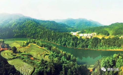 总王村旅游攻略，深度探索乡村之美，尽享自然风韵的独特体验