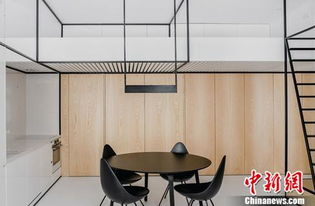 张勇与今日头条，引领行业变革，探索科技前沿新动态