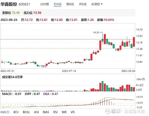 鑫宇公司最新动态，今日股价调整与未来展望分析