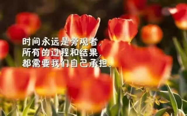 励志语录，灵感之源，百度收录标准标题