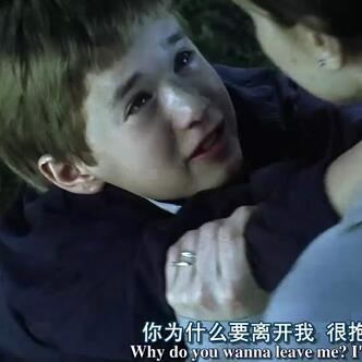佛家励志名言视频集锦，智慧汲取，人生启迪之道