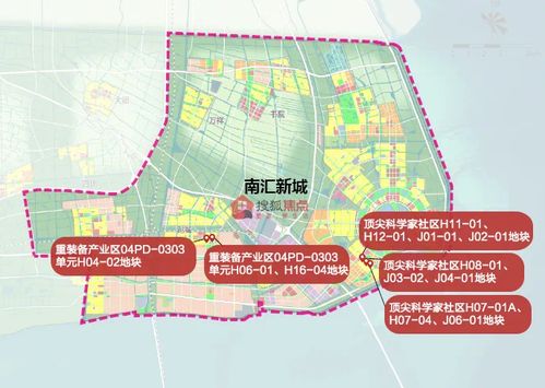 今日鸡爪价格大揭秘，市场走势分析，购买指南助你选购优质鸡爪