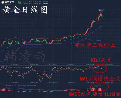 最新今日金价走势分析，市场趋势预测与深度解读