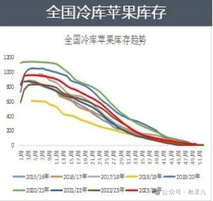 冷库苹果行情最新动态，今日市场走势与深度影响因素解析