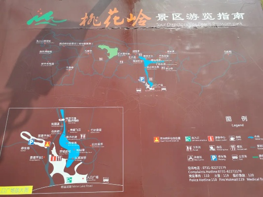 荣县花龙沟竹海探秘，绝美风光与旅行攻略！