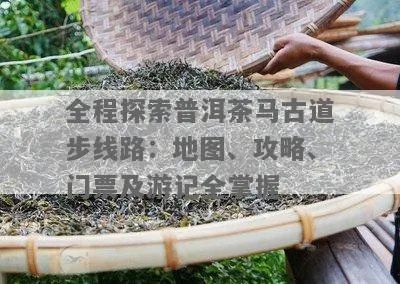 普洱茶马古道秘境探索，排队攻略全解析