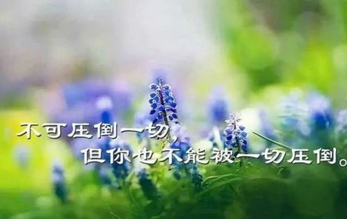 阿天励志语录，生命不息，奋斗不止