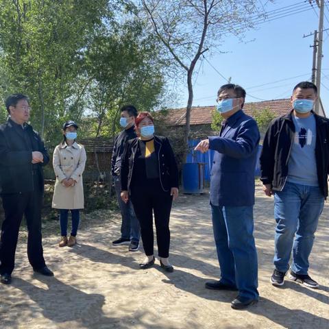 临邑孟寺最新发展动态，探寻地方脉搏的新闻头条