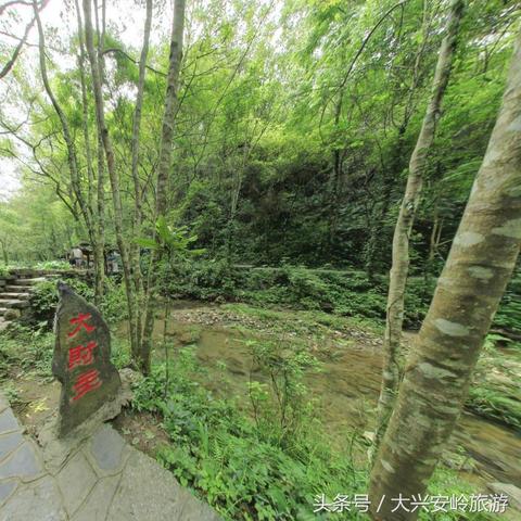 上海桂林公园十大美景探秘，城市绿肺之美惊艳心灵