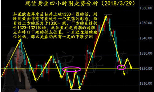油葵今日价格行情分析，市场走势及影响因素深度解读