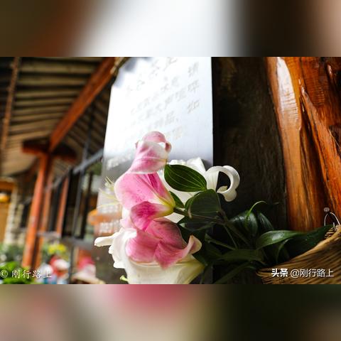 临沂松柏庵游玩攻略大全，最新指南，带你畅游胜地！