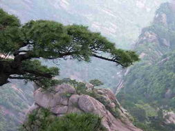 潞山旅游度假攻略，最新指南，带你畅游美景！