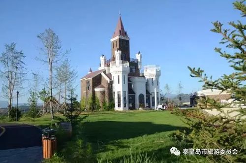 2025年6月8日 第4页