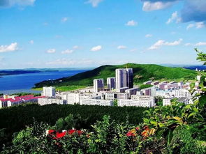 七台河市最新公告大全，城市动态及发展轨迹速览