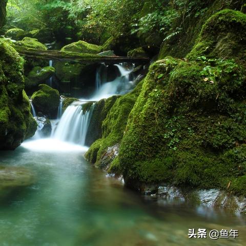 湖北竹山县新闻聚焦，探寻魅力竹山，展现地方风采