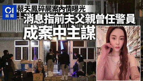香港碎尸案震惊真相揭秘，最新事件报道与细节曝光