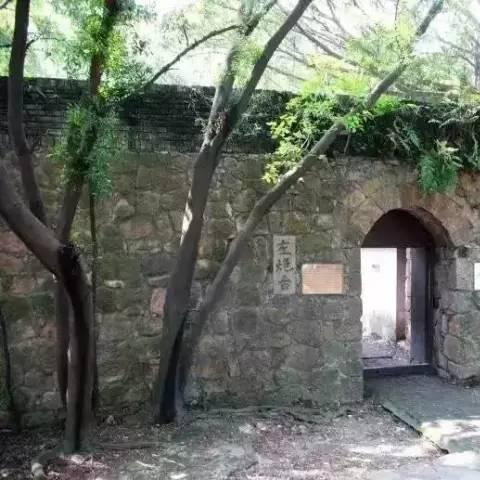 深圳四大科技公司排行榜，揭秘创新之巅的佼佼者