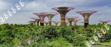新加坡最新旅游攻略，畅游热带风情，必玩景点一网打尽！