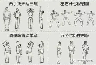 太极八段锦，古老健身术的魅力与传承之道