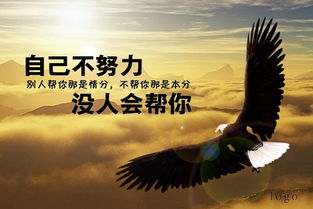 背部健身励志名言，塑造坚实后盾的力量与毅力