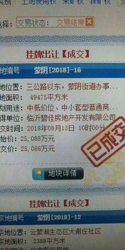 蒙阴碧桂园最新动态揭秘，今日消息一网打尽！