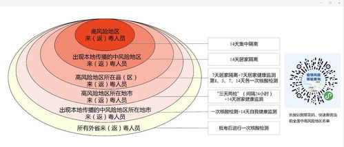 东莞核酸政策最新规定解读，时间、细节分析与影响探讨