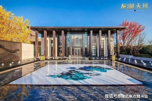 尊龙房产最新房价走势揭秘，洞悉未来趋势，投资置业无忧！