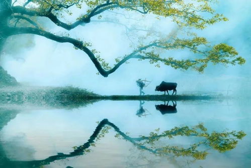 贴膜培训公司排名大揭秘，深度解读行业领军者