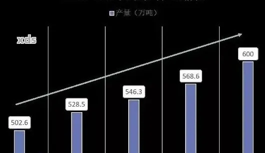 揭秘排名最低公司背后的真相与挑战，深度剖析，引人关注