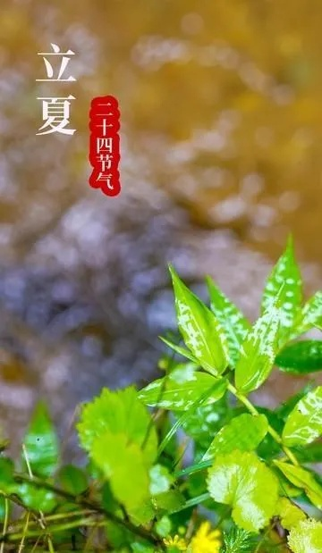 揭秘节气立夏，立夏日期大揭秘！
