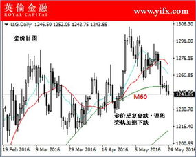 中国黄金最新行情，今日报价、市场走势深度解析及投资指南