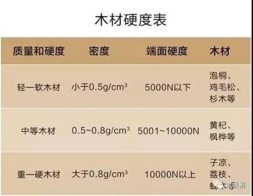 新疆珍稀木材排名TOP10，探寻宝藏木材的绝佳之地
