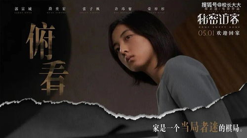 独家揭秘，七里香背后的故事与深意，百度带你探寻真相！