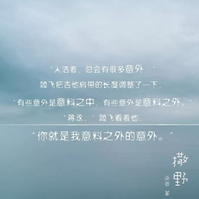 撒野励志语录与配音艺术的魅力所在