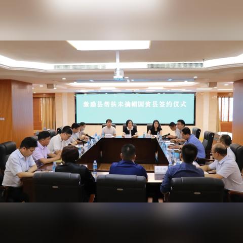 广西都安新闻聚焦，县域发展的活力与潜力探索